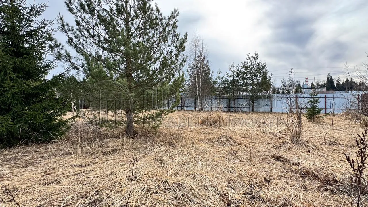 Участок, 7.84 сот. - фото 5