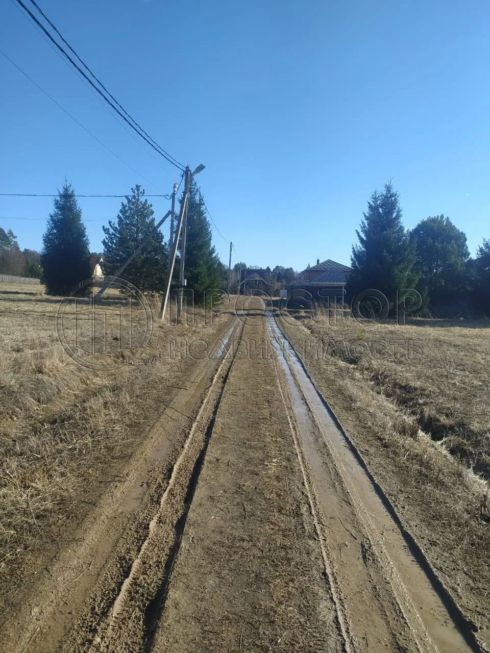 Участок, 20 сот. - фото 5