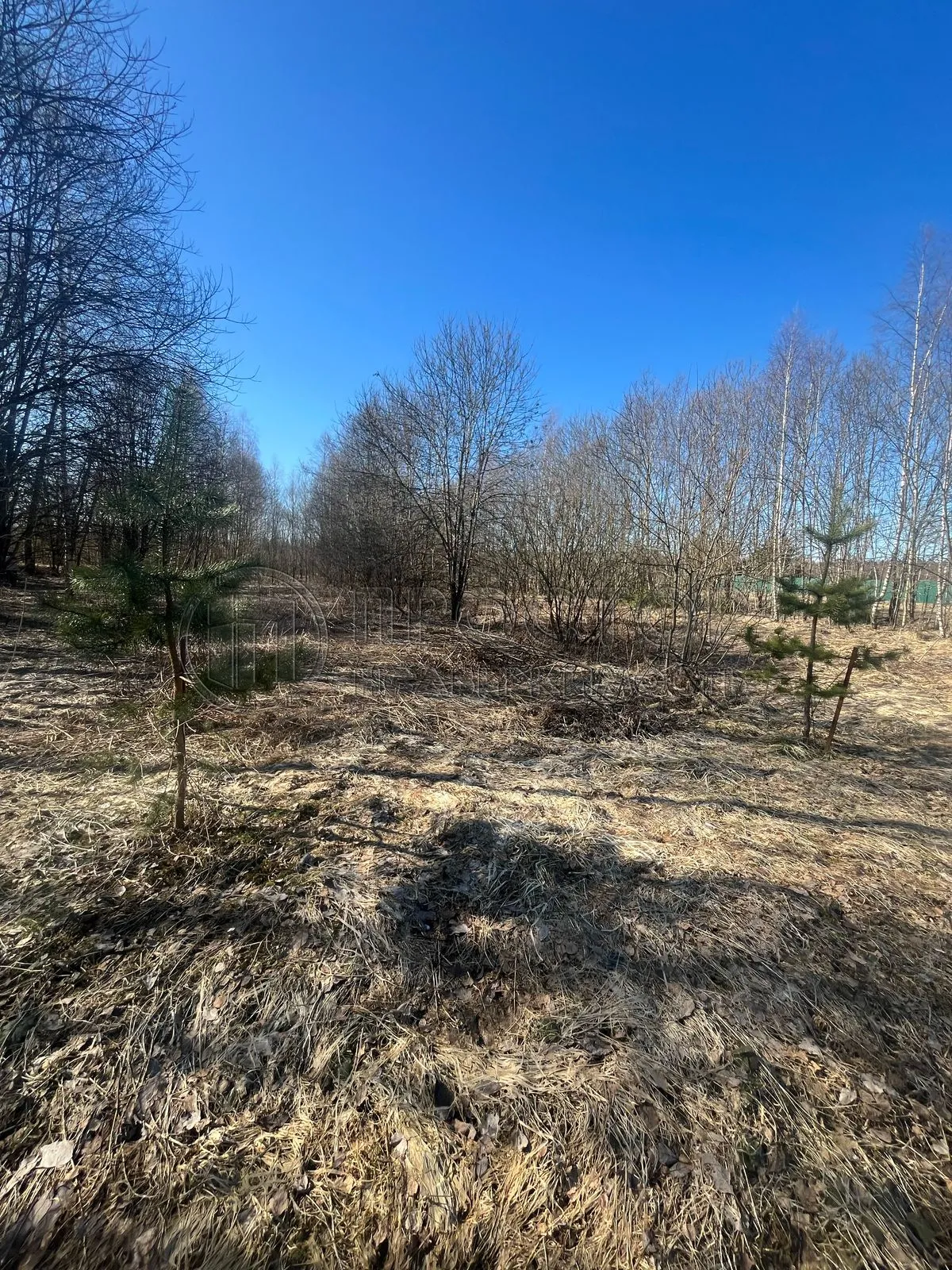 Участок, 23 сот. - фото 2