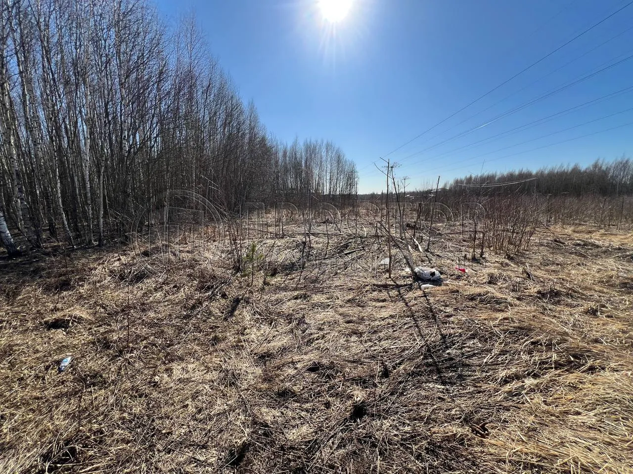 Коммерческая недвижимость (земельный участок),  м² - фото 2