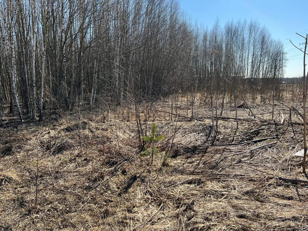 Коммерческая недвижимость (земельный участок),  м² - фото 3