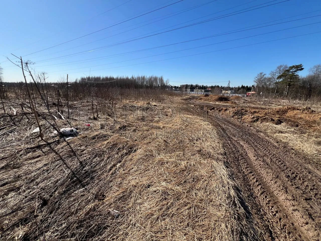 Коммерческая недвижимость (земельный участок),  м² - фото 4