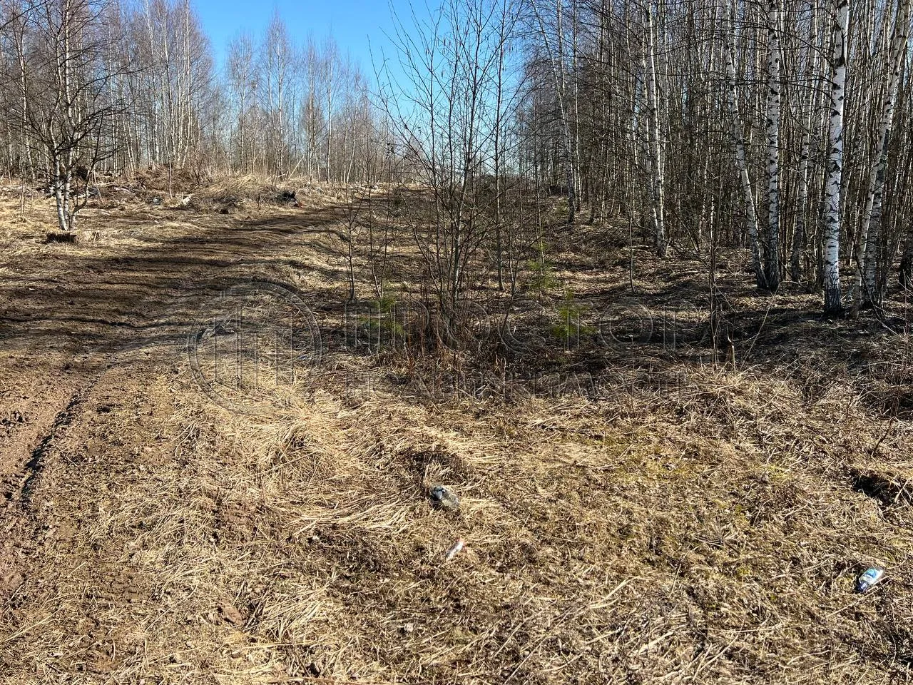 Коммерческая недвижимость (земельный участок),  м² - фото 5