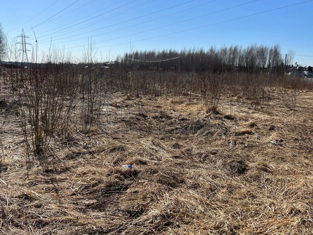 Коммерческая недвижимость (земельный участок),  м² - фото 6