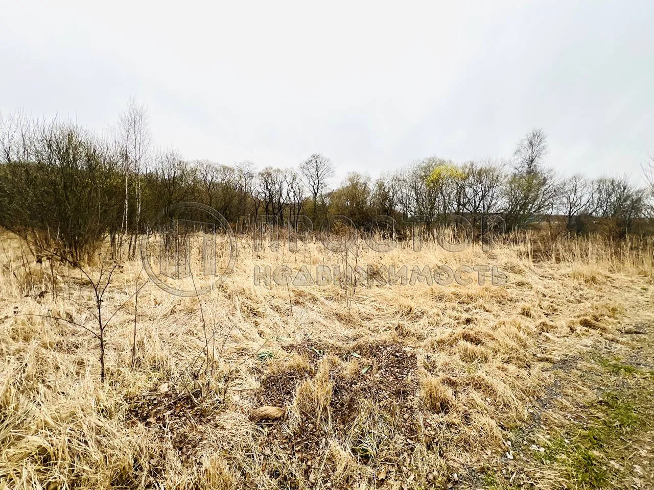 Участок, 6 сот. - фото 2