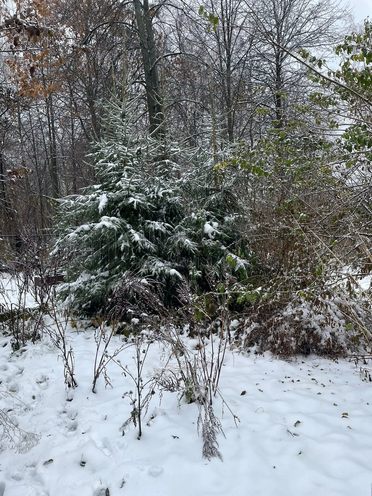 Дом, 70 м² - фото 20