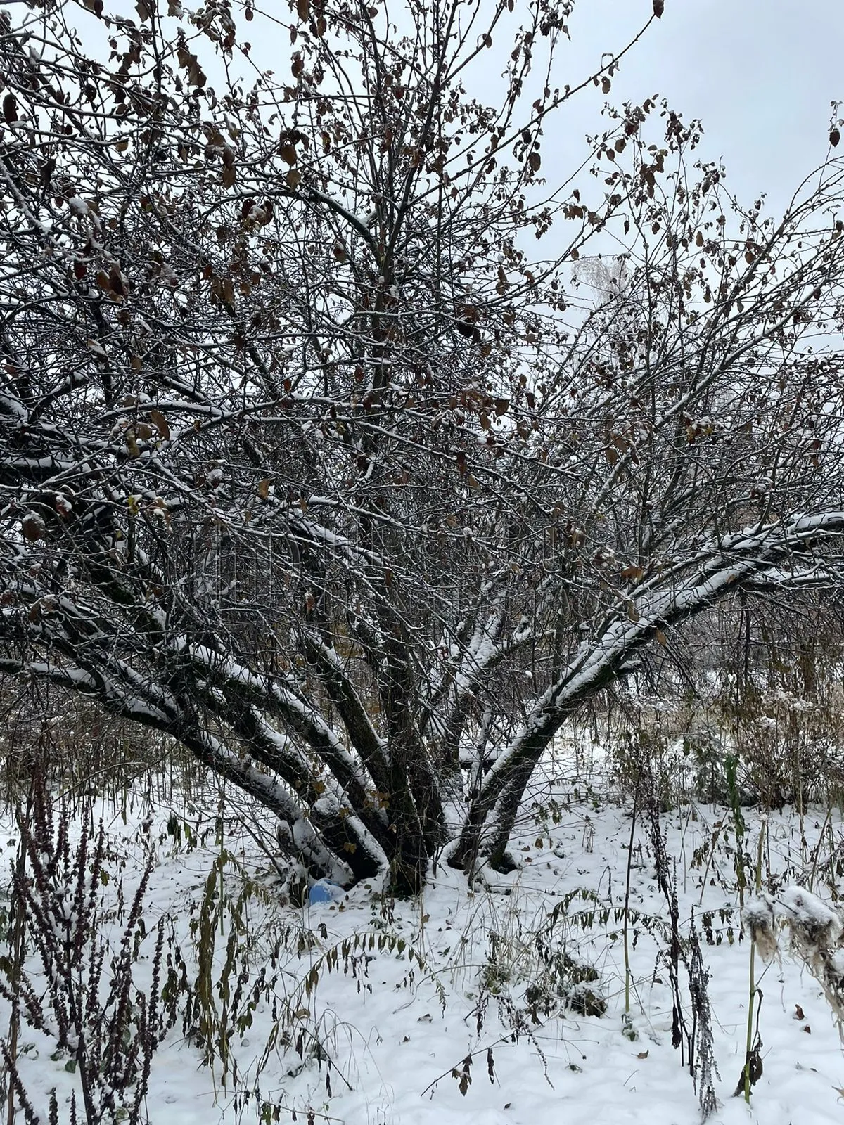 Дом, 70 м² - фото 21