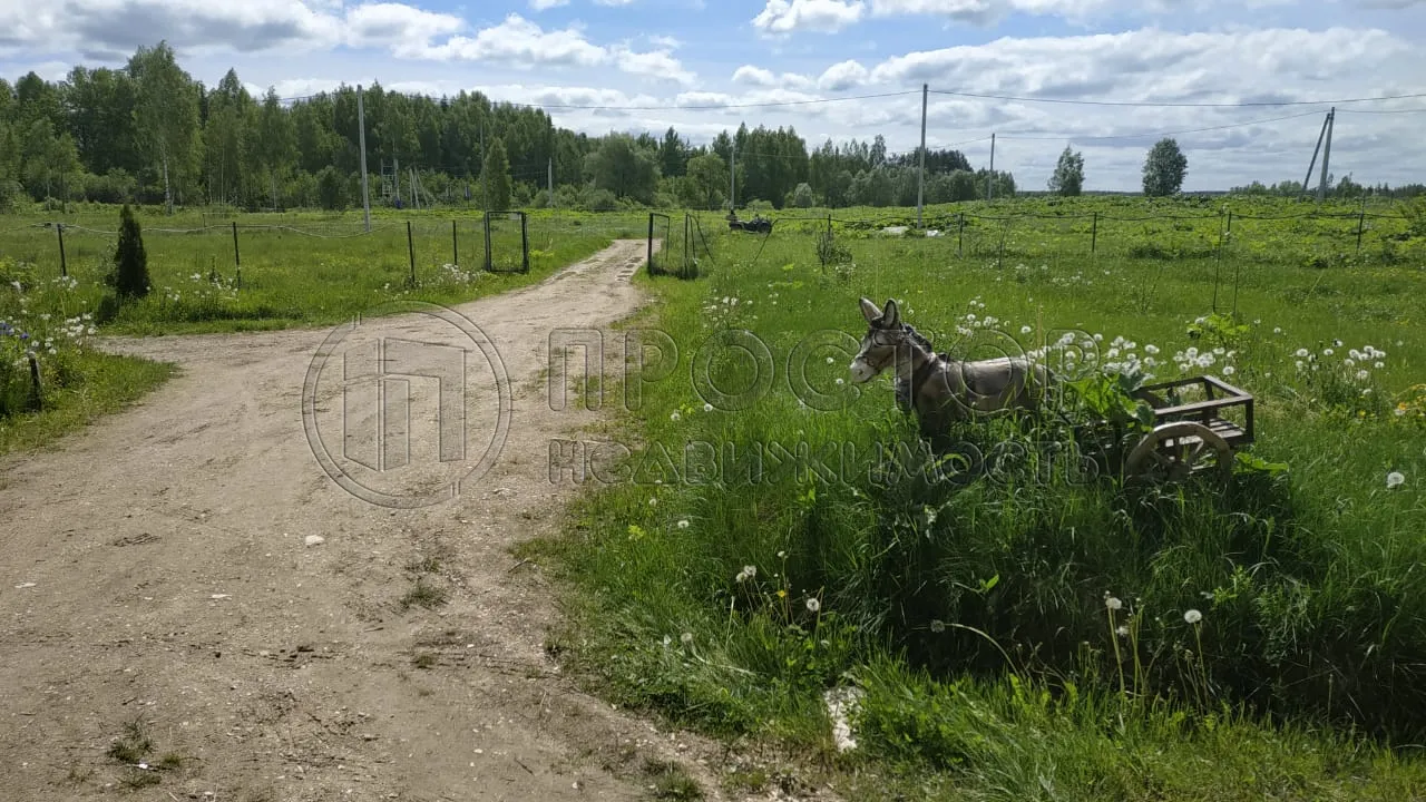 Коммерческая недвижимость (земельный участок),  м² - фото 6