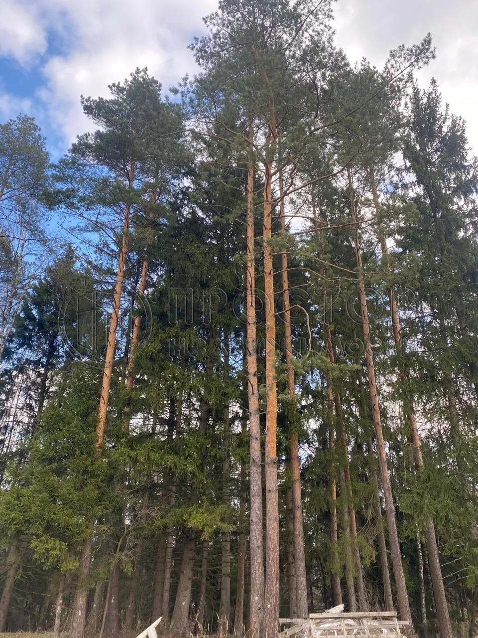 Участок, 18.8 сот. - фото 5