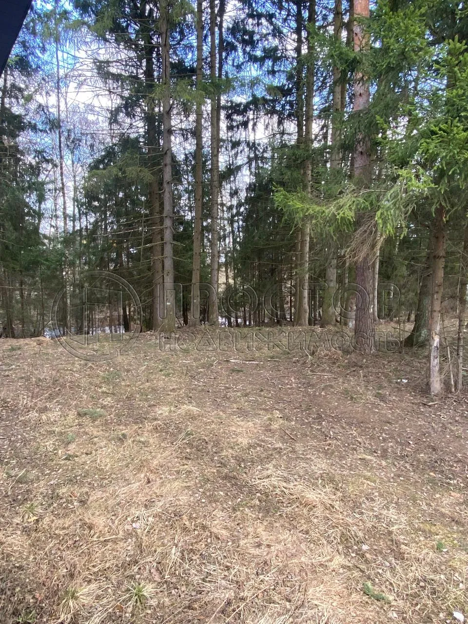 Участок, 18.8 сот. - фото 13