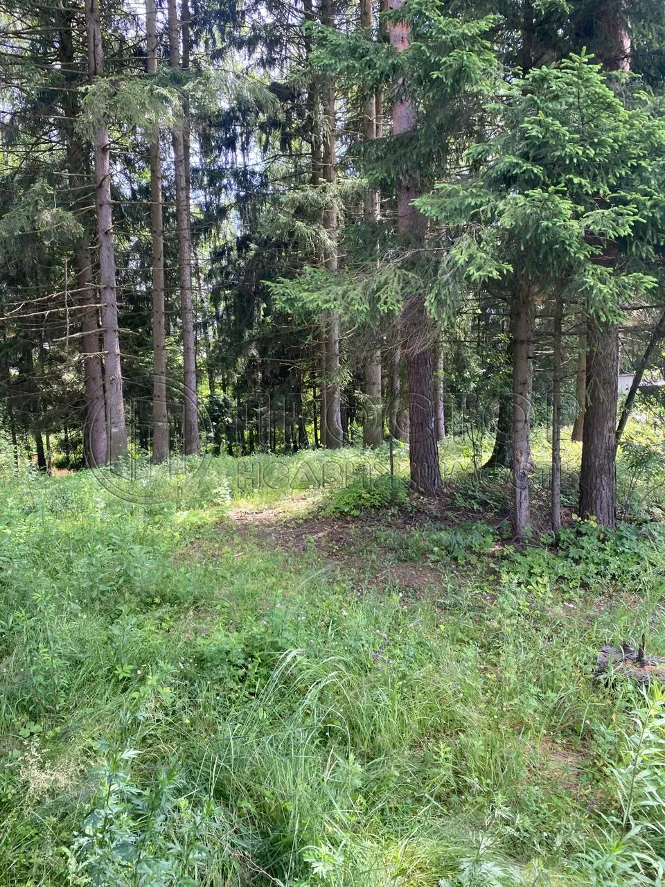 Участок, 18.8 сот. - фото 4