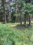 Участок, 18.8 сот. - фото 16