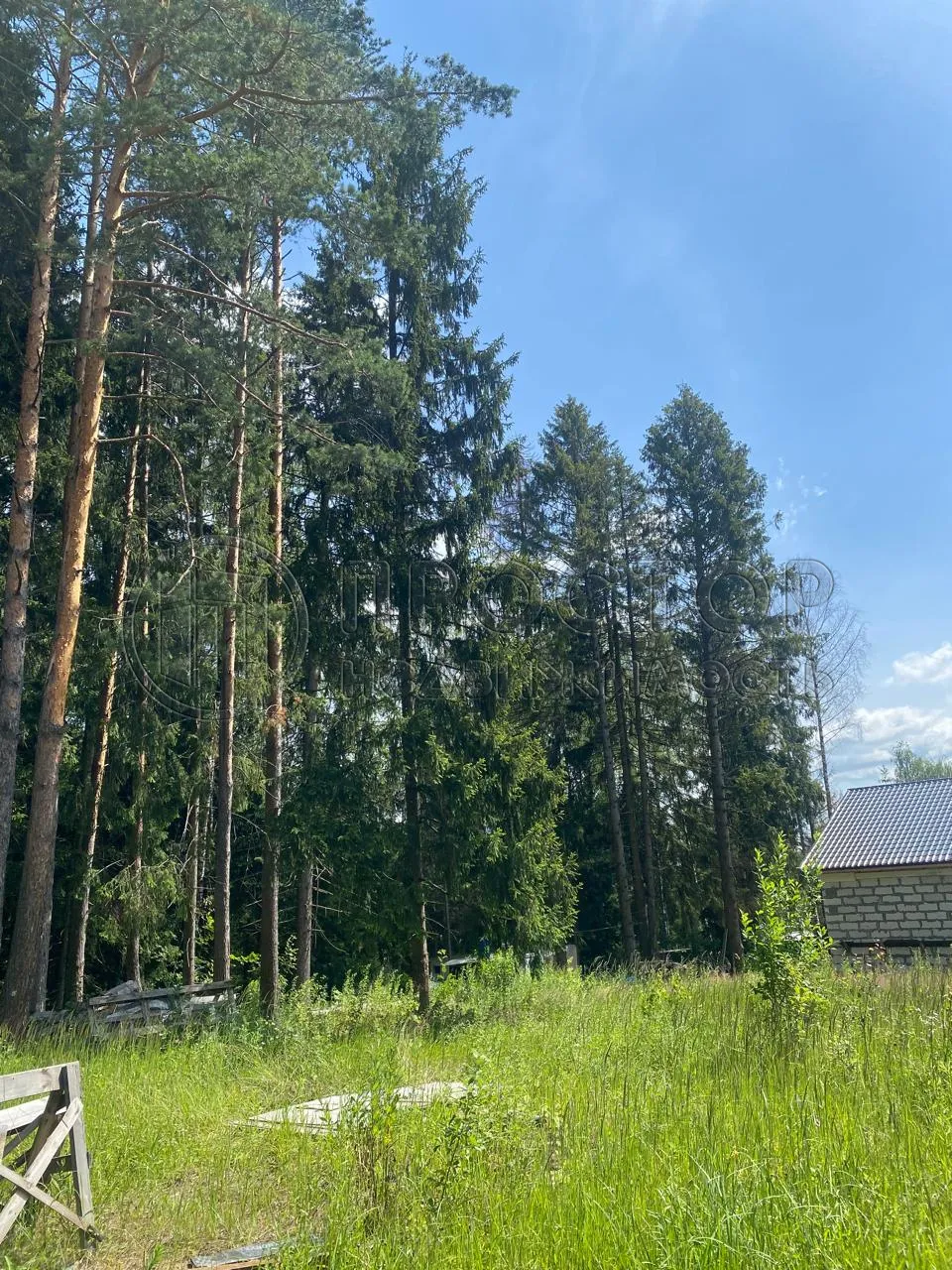 Участок, 18.8 сот. - фото 9