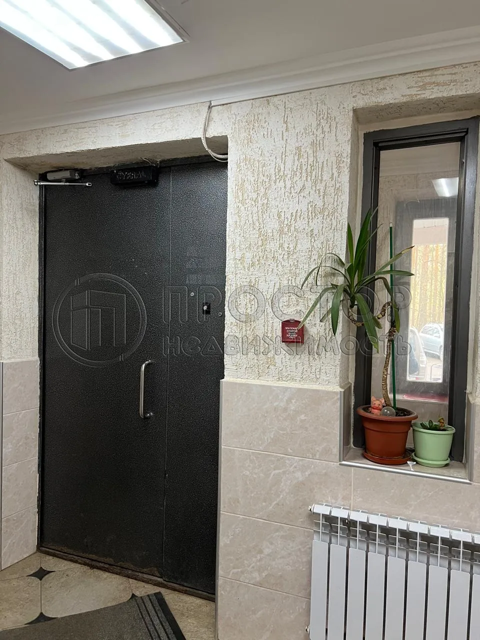 2-комнатная квартира, 55.6 м² - фото 14