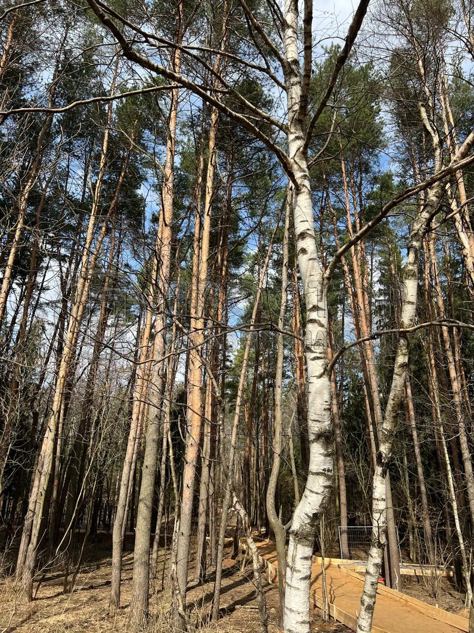 2-комнатная квартира, 55.6 м² - фото 17