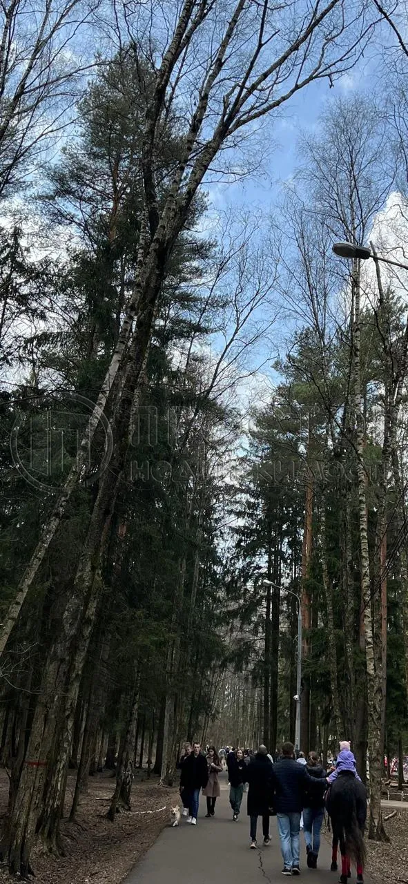 2-комнатная квартира, 55.6 м² - фото 18