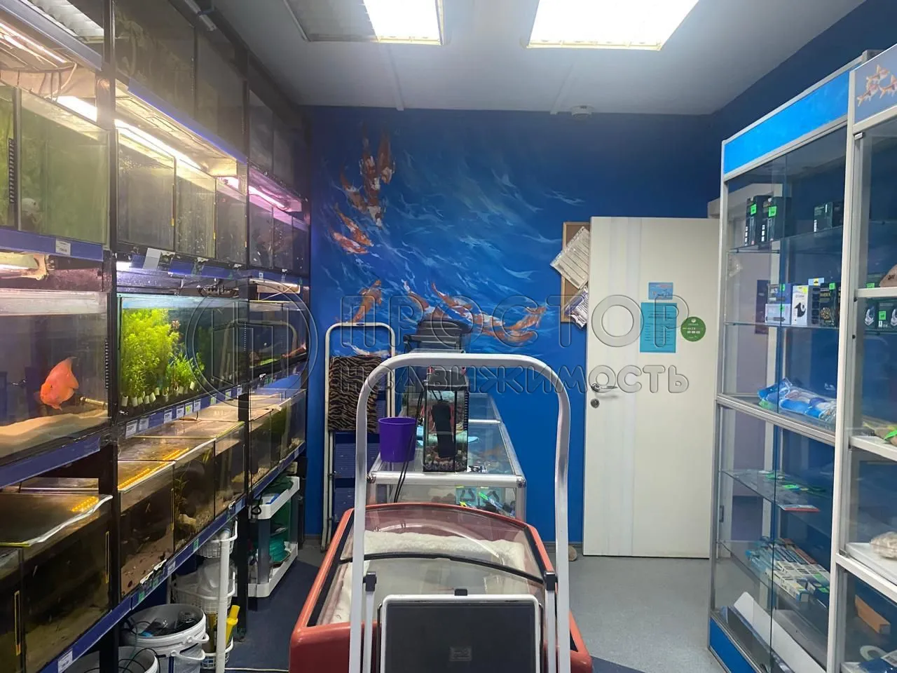 Коммерческая недвижимость (свободного назначения), 142.7 м² - фото 7