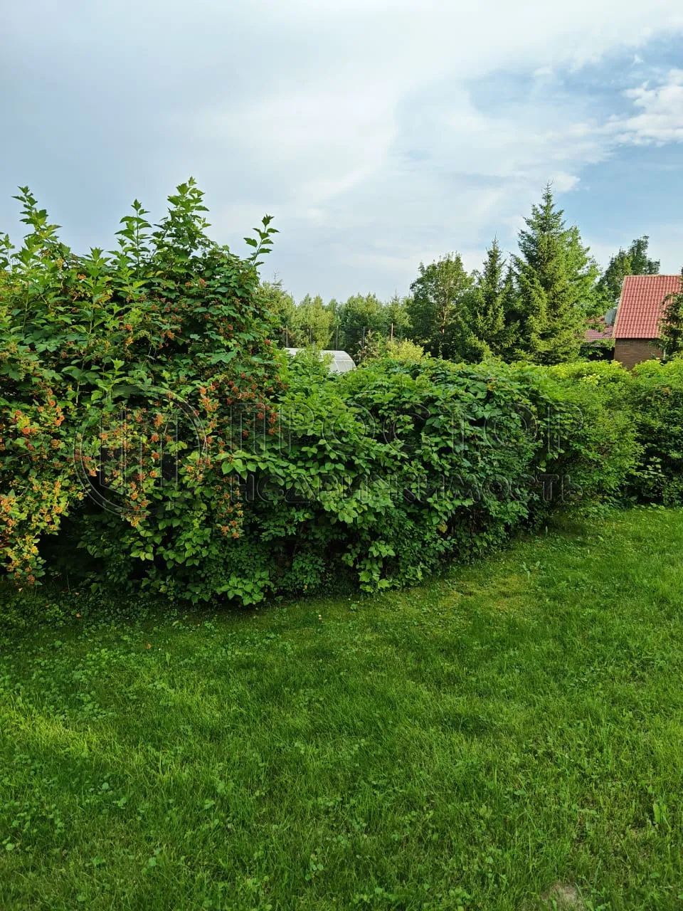 Дом, 65 м² - фото 24