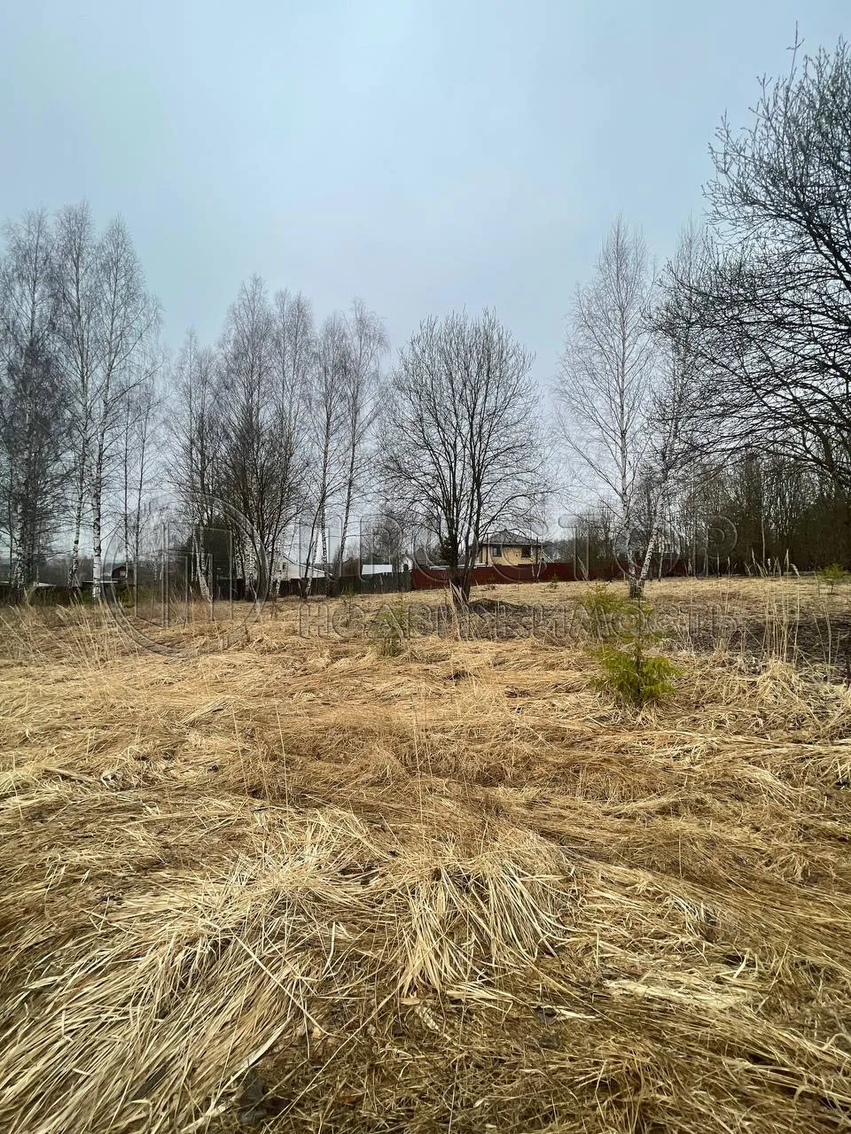 Участок, 14 сот. - фото 3