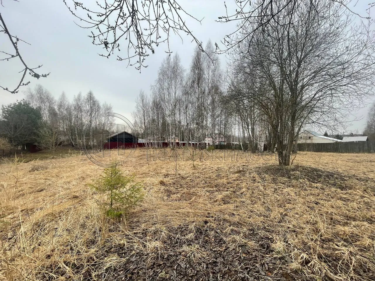 Участок, 14 сот. - фото 6