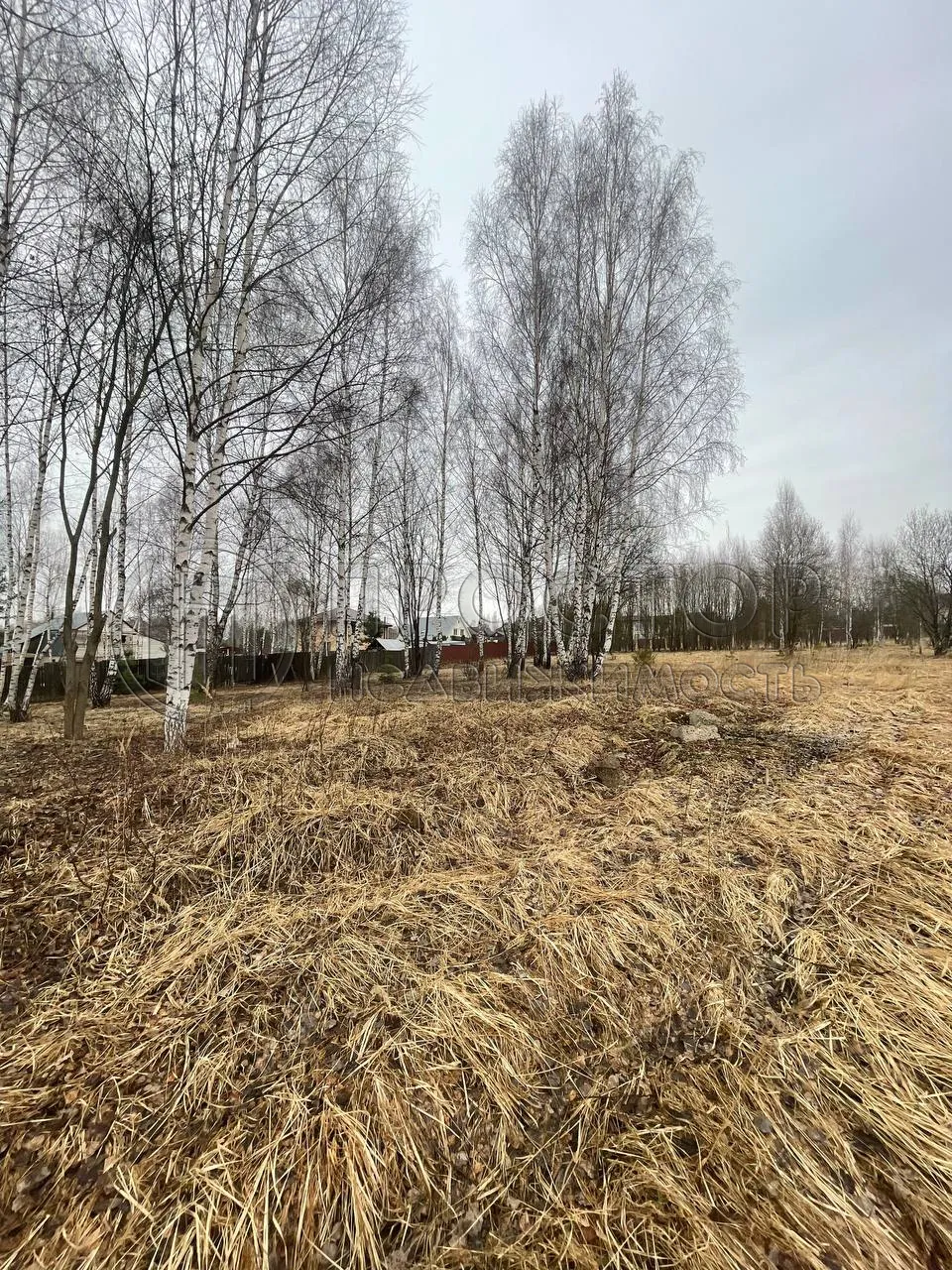 Участок, 14 сот. - фото 9