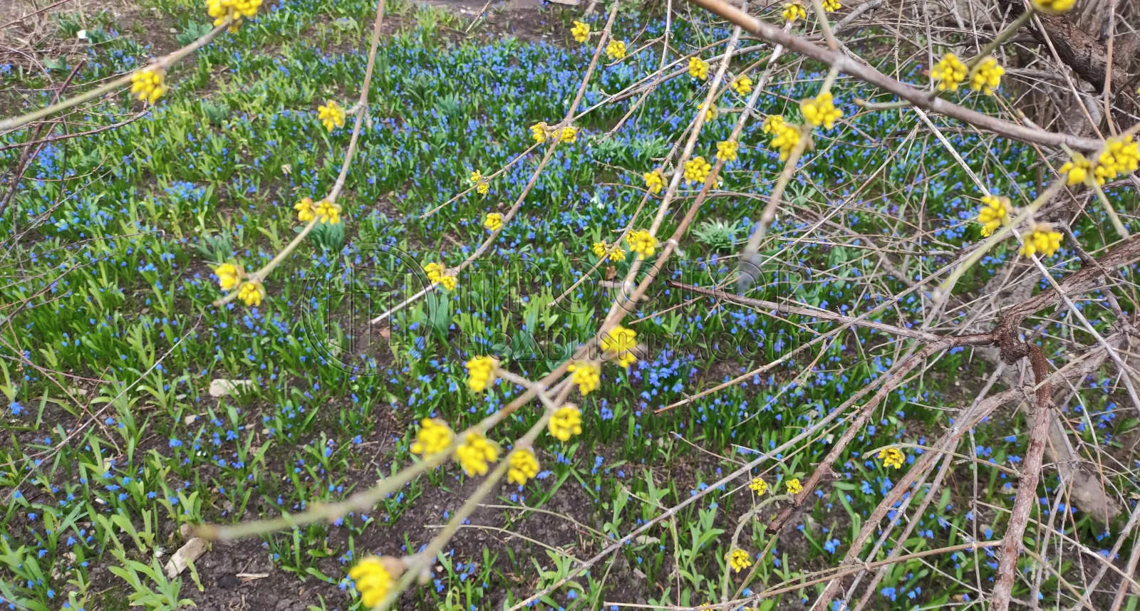 1-комнатная квартира, 36 м² - фото 14