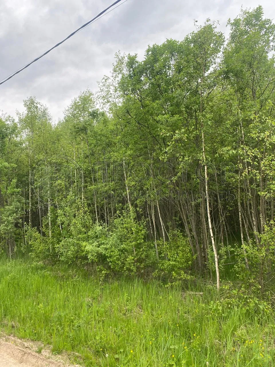 Участок, 20 сот. - фото 13