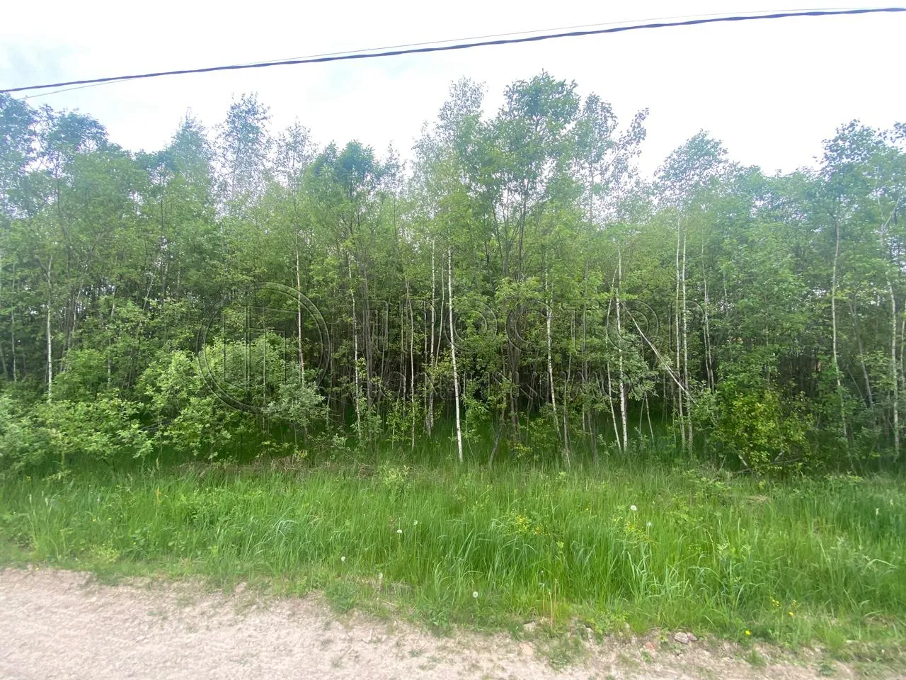 Участок, 20 сот. - фото 10