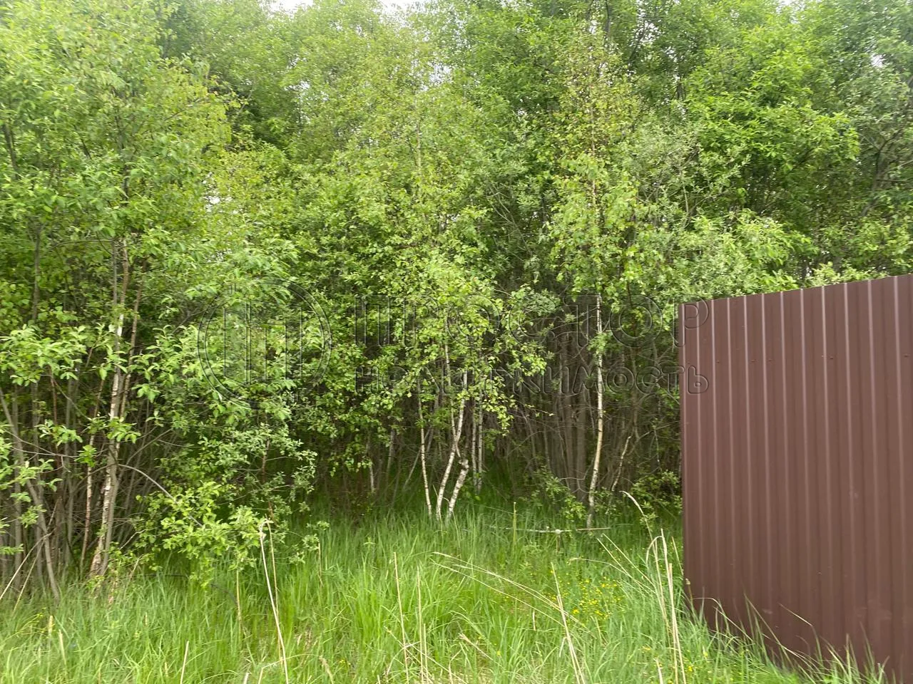 Участок, 20 сот. - фото 14