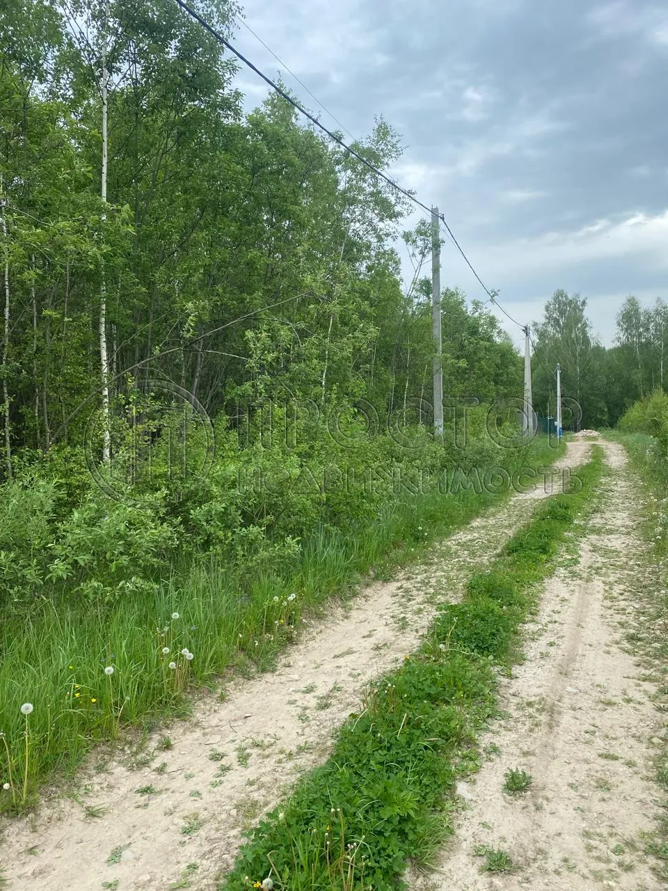 Участок, 20 сот. - фото 2