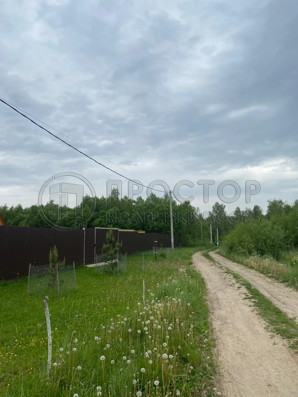 Участок, 20 сот. - фото 7