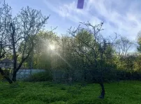 Участок, 28 сот. - фото 15