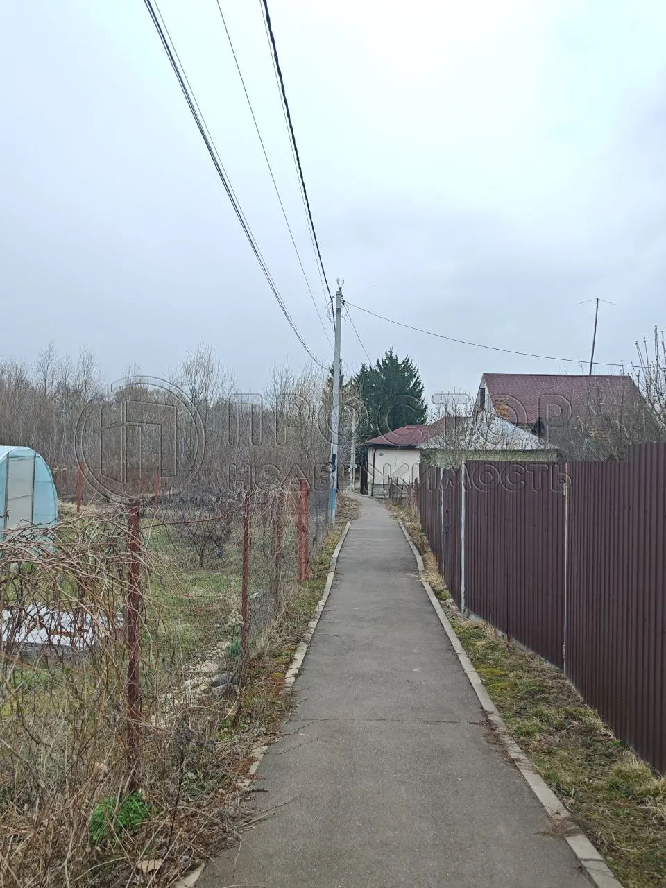 Участок, 20 сот. - фото 3