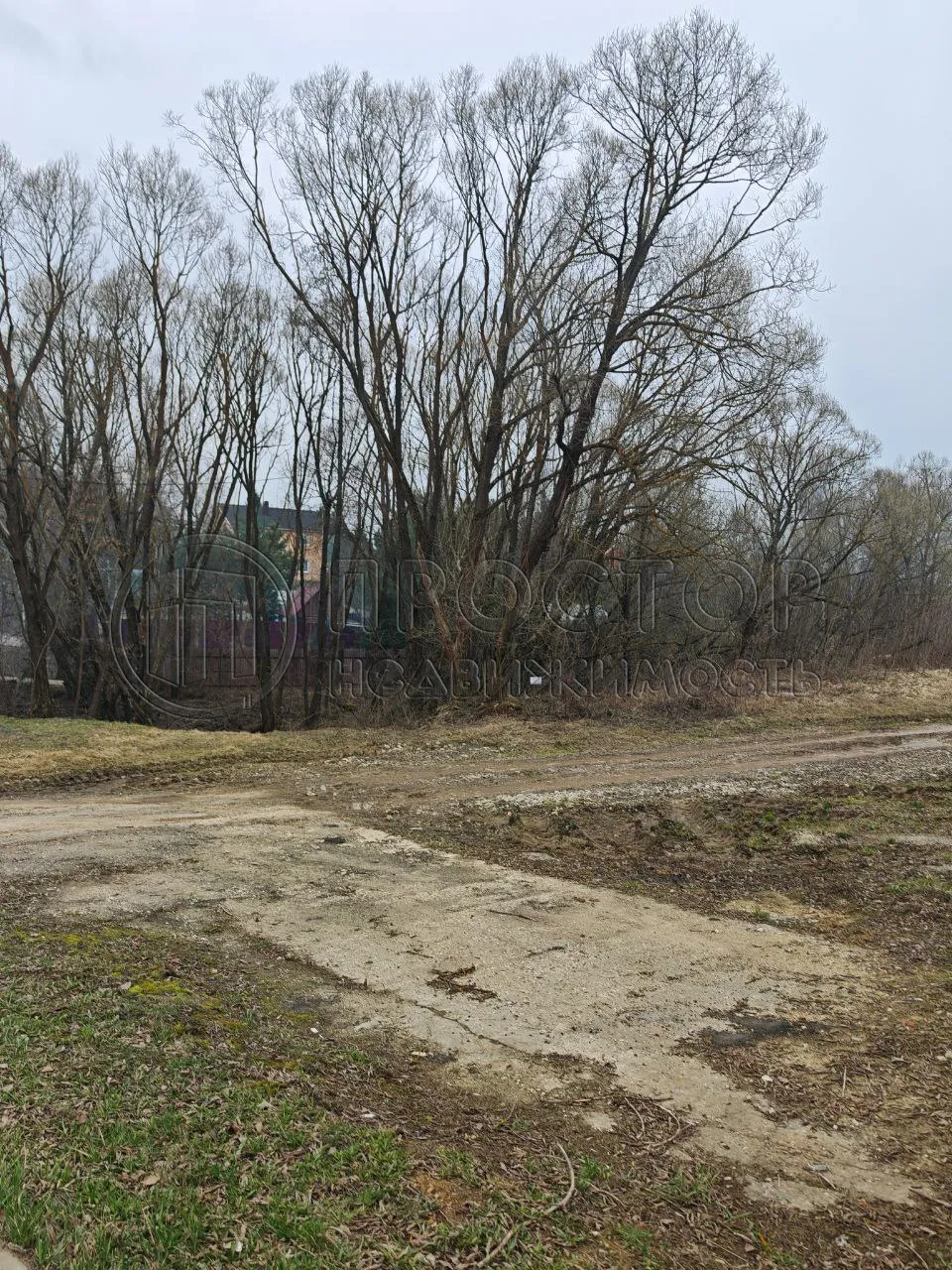 Участок, 20 сот. - фото 4