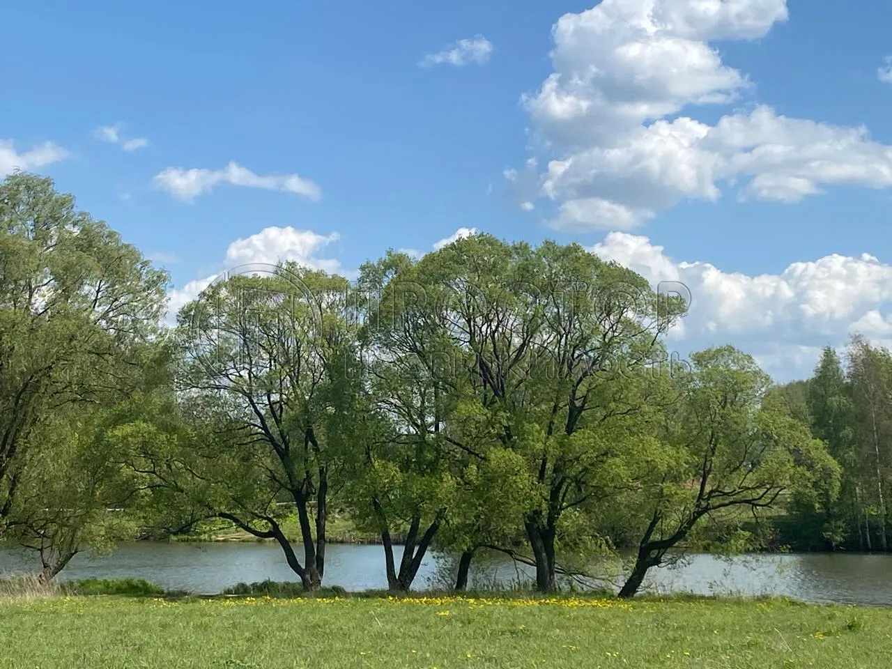 Участок, 6 сот. - фото 21