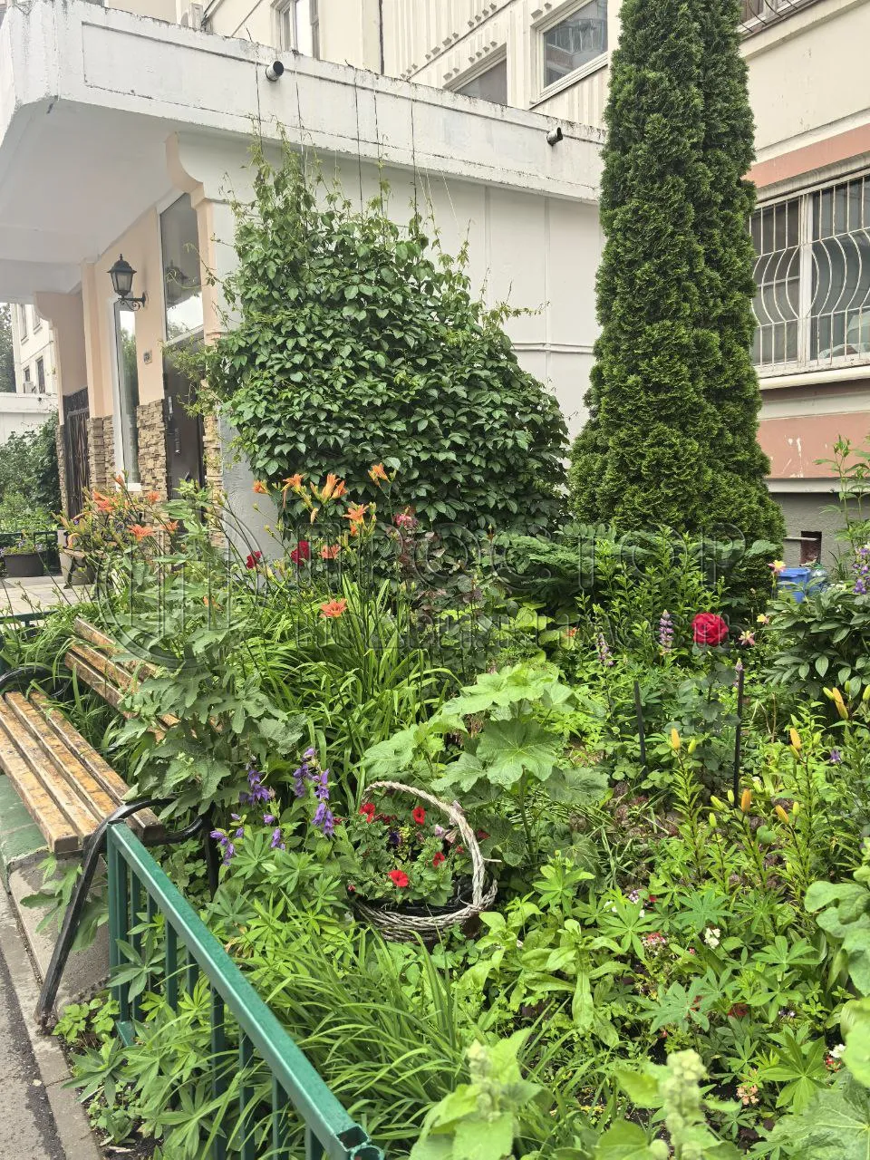 3-комнатная квартира, 80 м² - фото 5