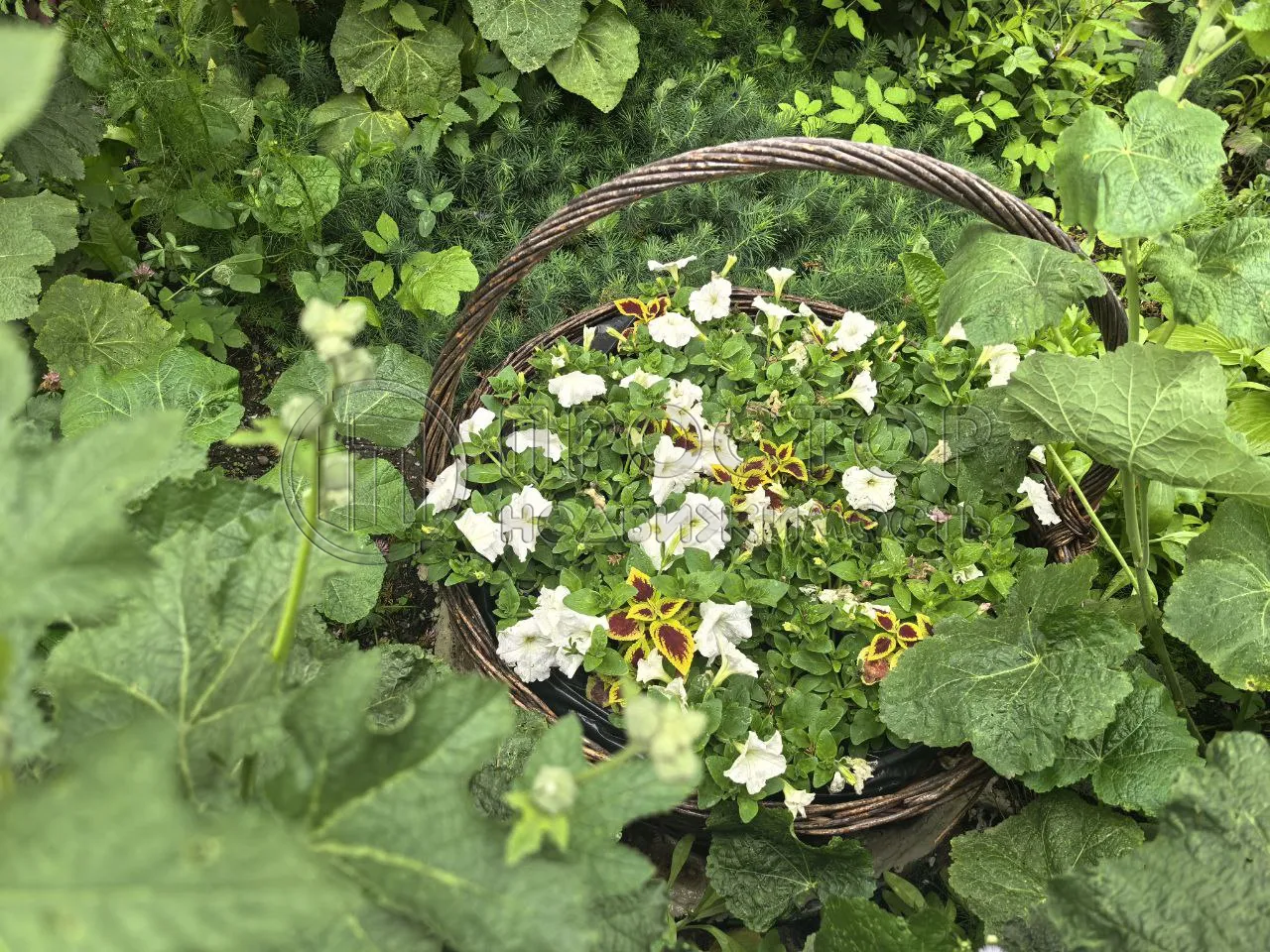 3-комнатная квартира, 80 м² - фото 6