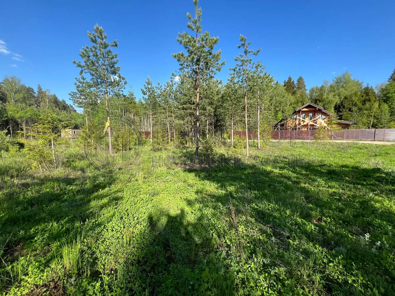 Участок, 10.74 сот. - фото 3