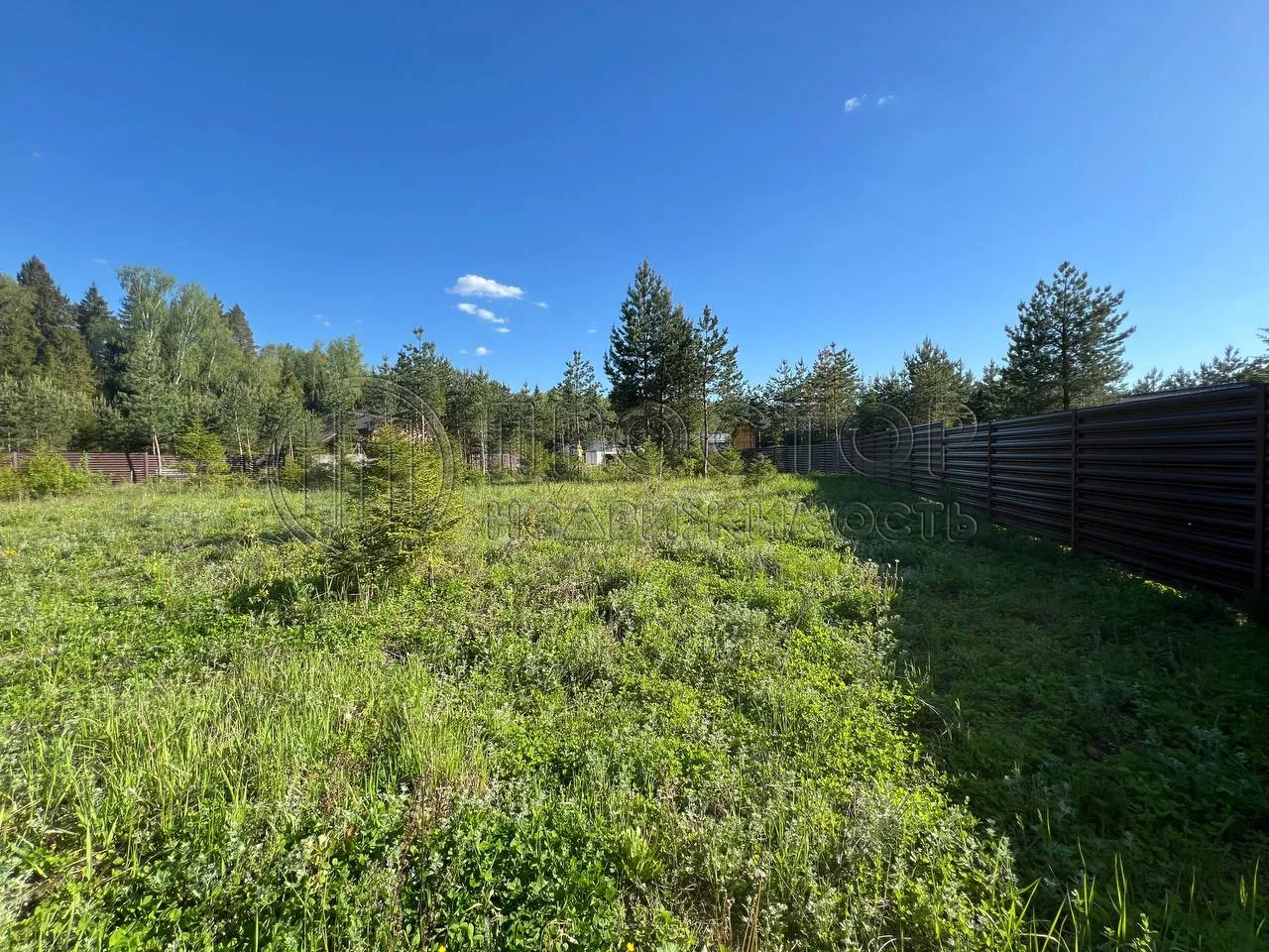 Участок, 10.74 сот. - фото 6