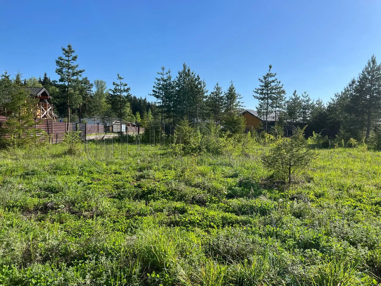 Участок, 10.74 сот. - фото 7