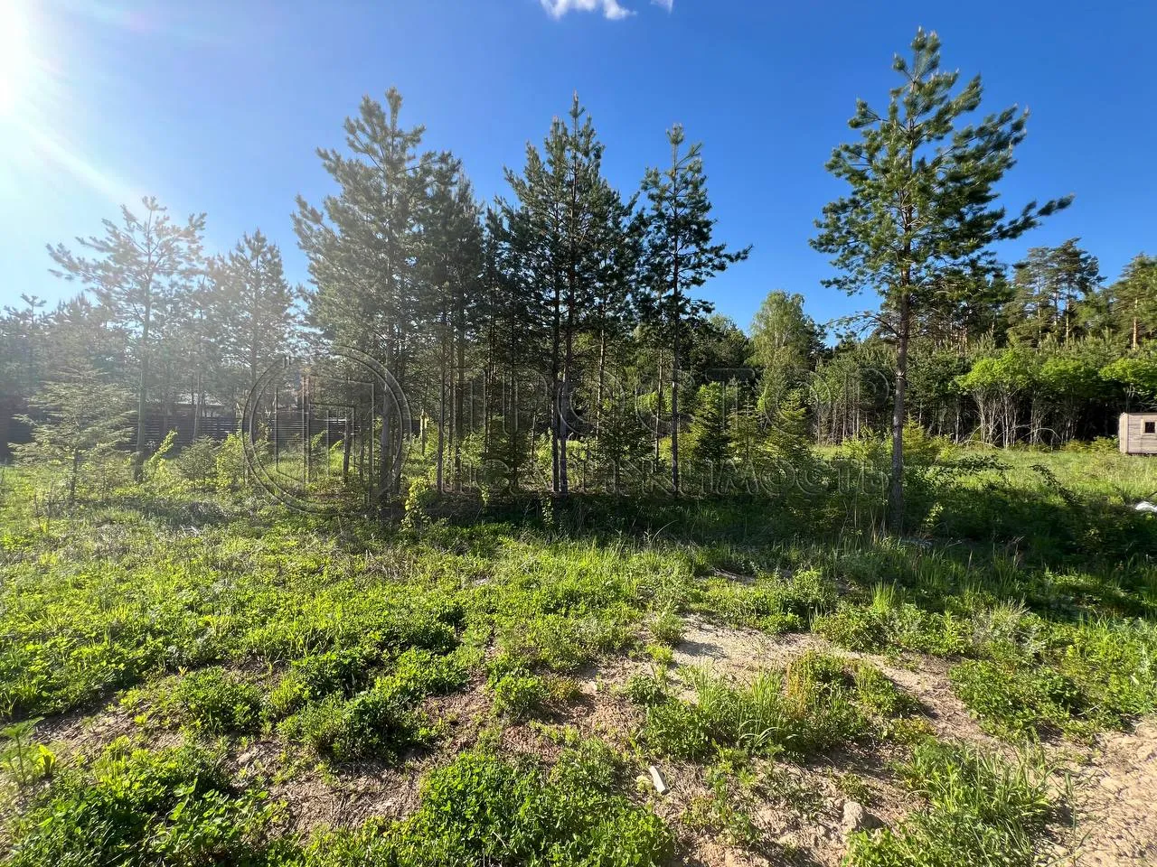 Участок, 19.35 сот. - фото 3