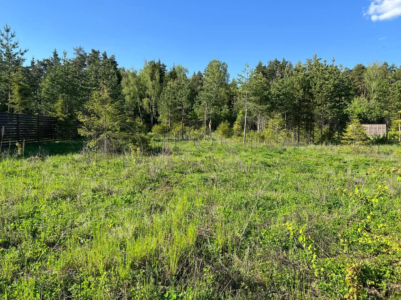 Участок, 19.35 сот. - фото 4