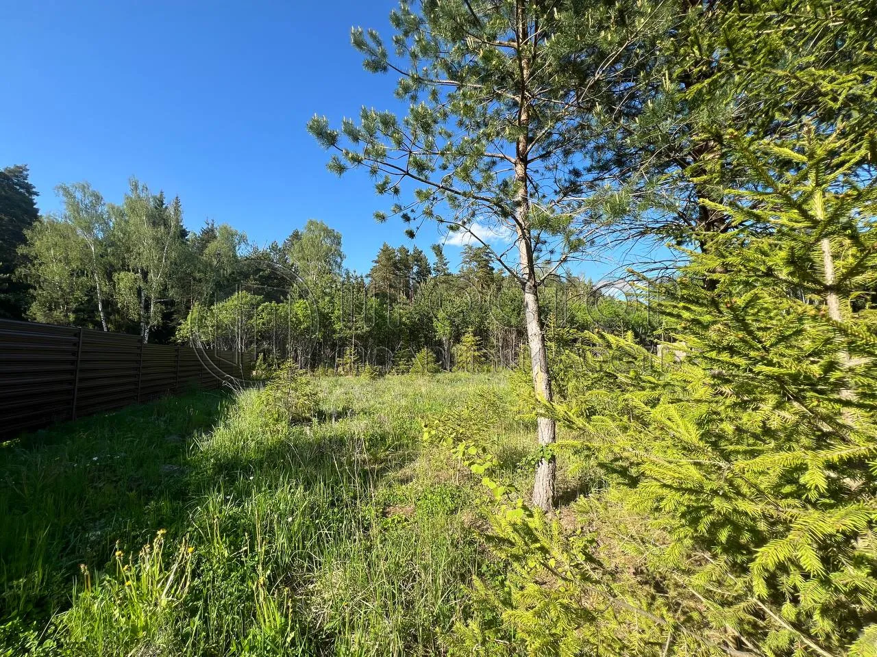 Участок, 19.35 сот. - фото 5