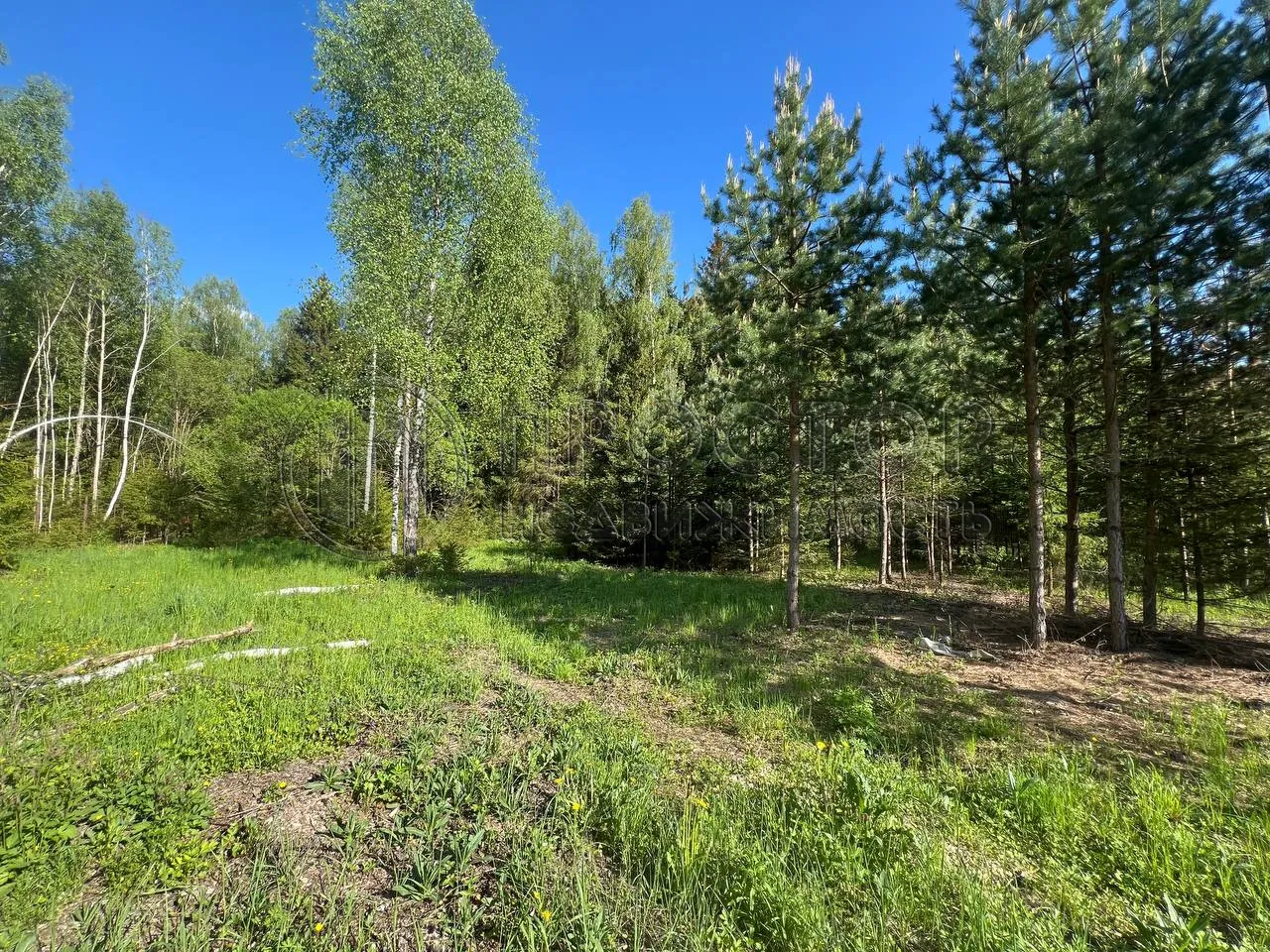 Участок, 66.35 сот. - фото 3