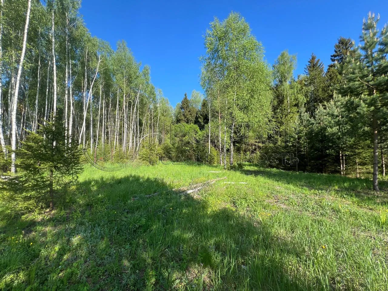 Участок, 66.35 сот. - фото 4