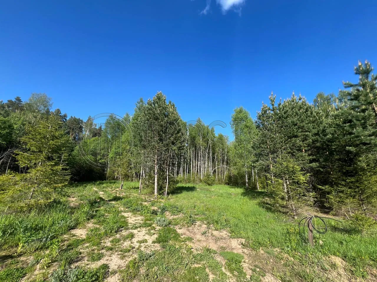 Участок, 66.35 сот. - фото 5