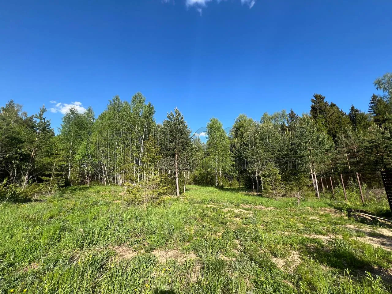 Участок, 66.35 сот. - фото 6