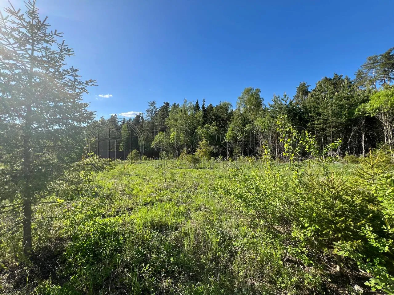 Участок, 66.35 сот. - фото 7