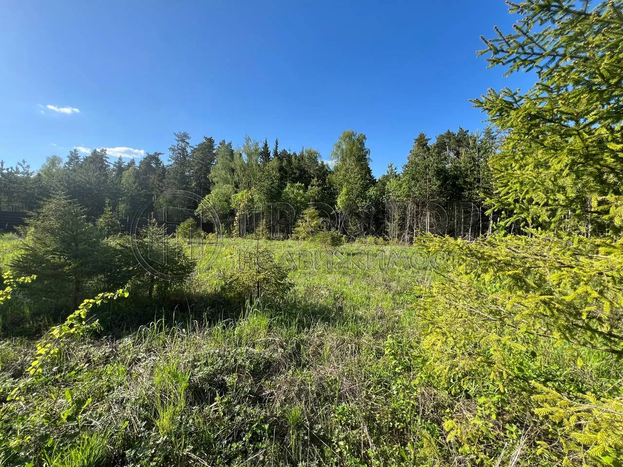 Участок, 66.35 сот. - фото 8