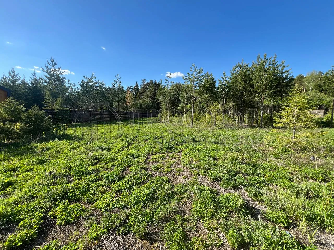 Участок, 66.35 сот. - фото 9